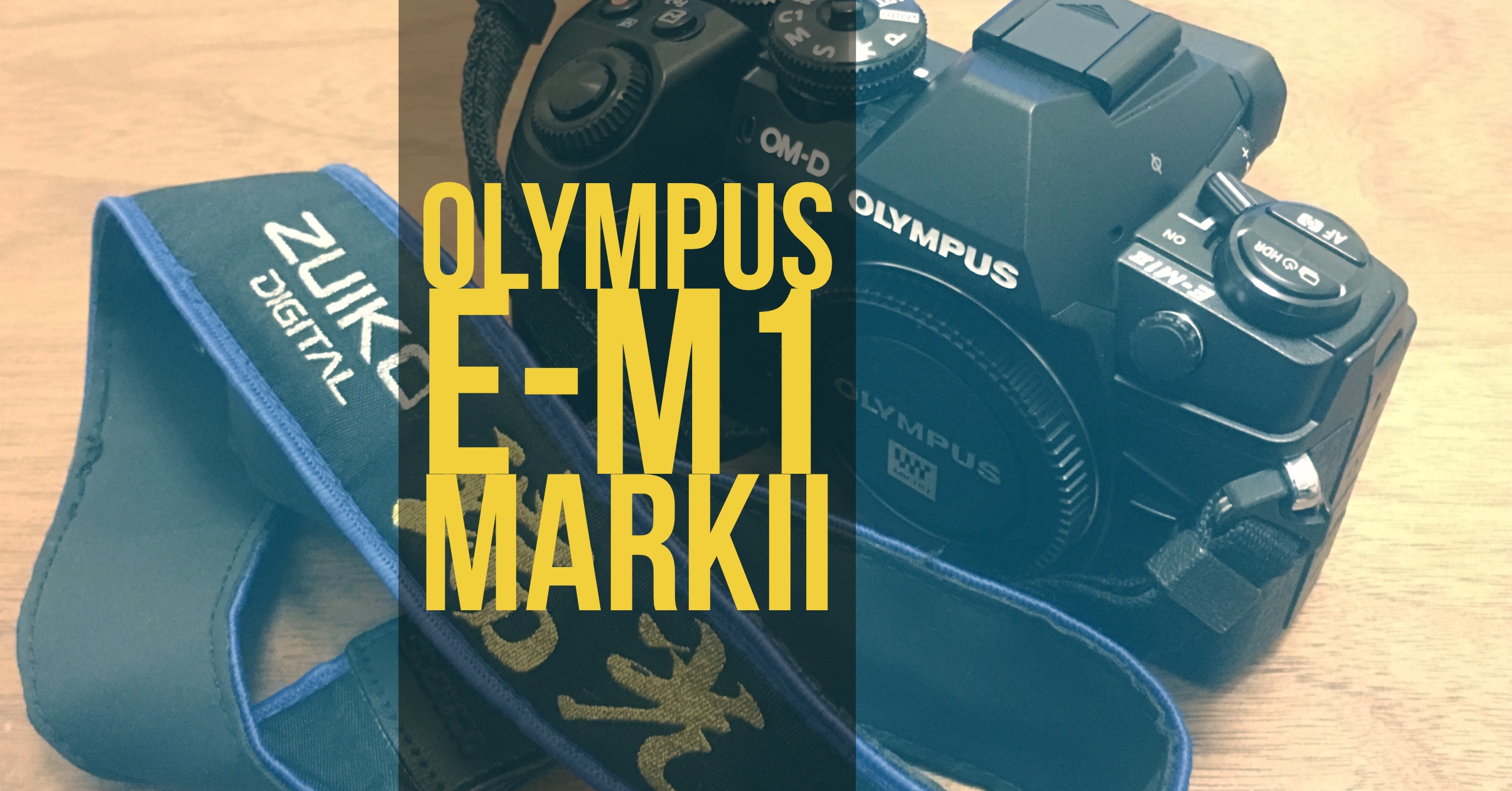 E-M1markIIレビュー(1) 初代E-M1と比較してわかったモタスポ撮影に効き